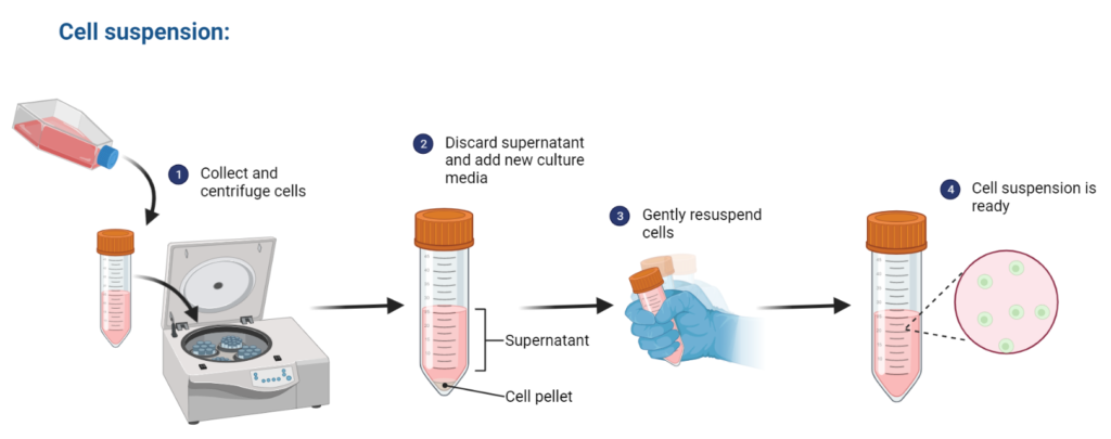 Counting Viable Cells Nc Dna Day Blog