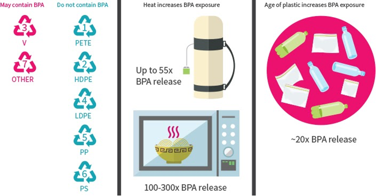 The Truth About BPA