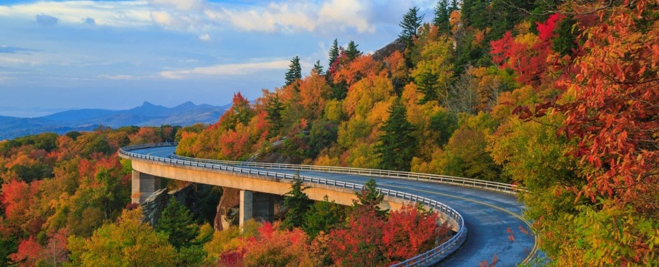 The Chemistry of Fall Colors