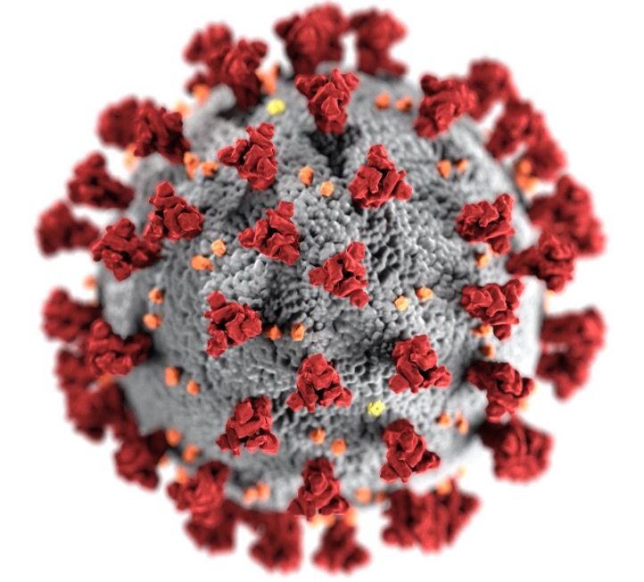 Virus y bacterias: ¿Cuál es la diferencia?