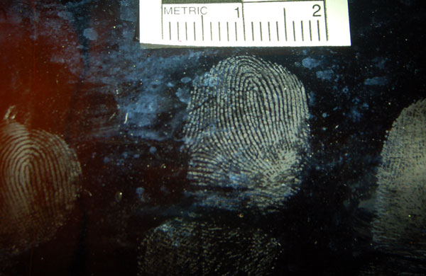 How are fingerprints formed?