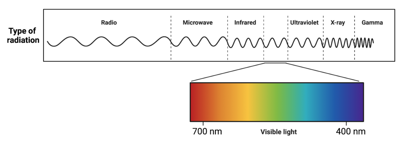 Wavelength – NC DNA Day Blog