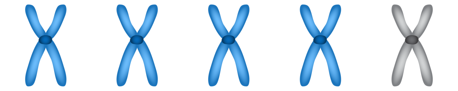 Metaphase Spreads – NC DNA Day Blog