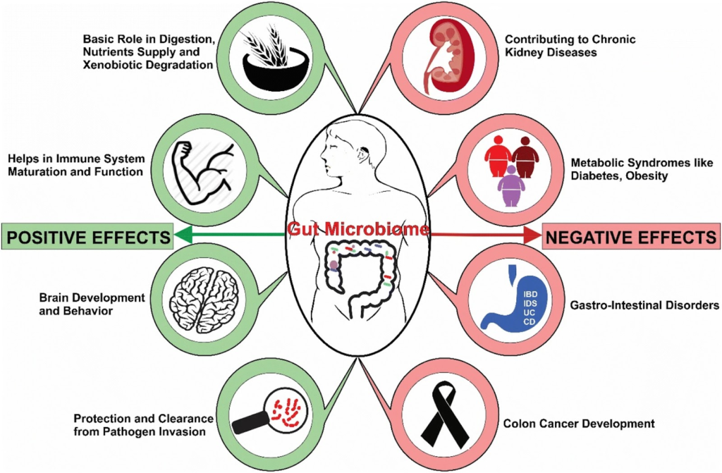 The Human Microbiome: We Are Not Alone