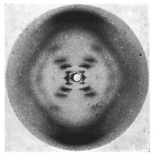 70 Years of the Double Helix: Rosalind Franklin and the Structure of DNA