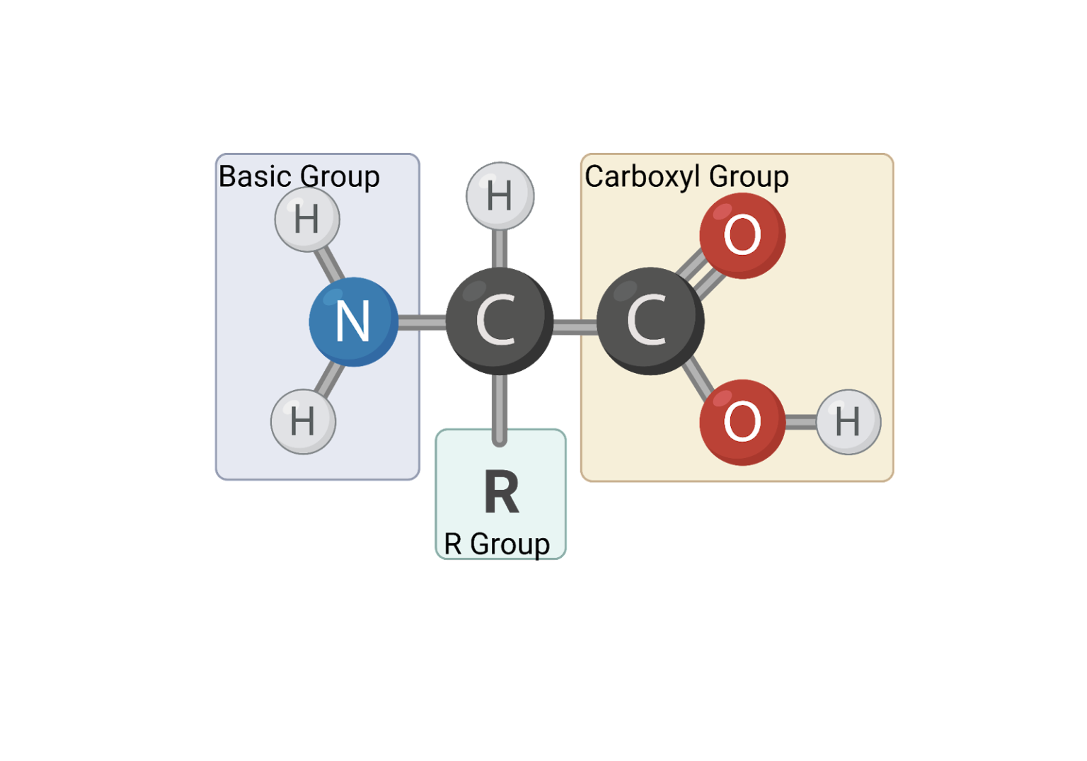 amino-acid-nc-dna-day-blog