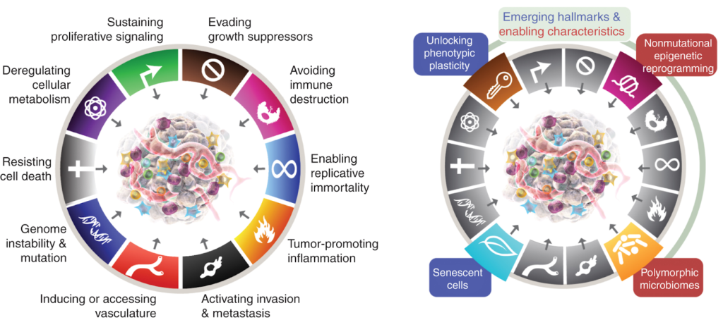 The Apocalypse Inside: The Hallmarks of Cancer and Zombies