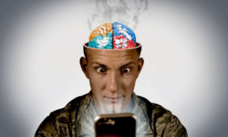 This is your brain on social media