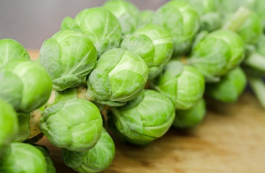 Plant Breeding – Making Today’s Brussels Sprouts