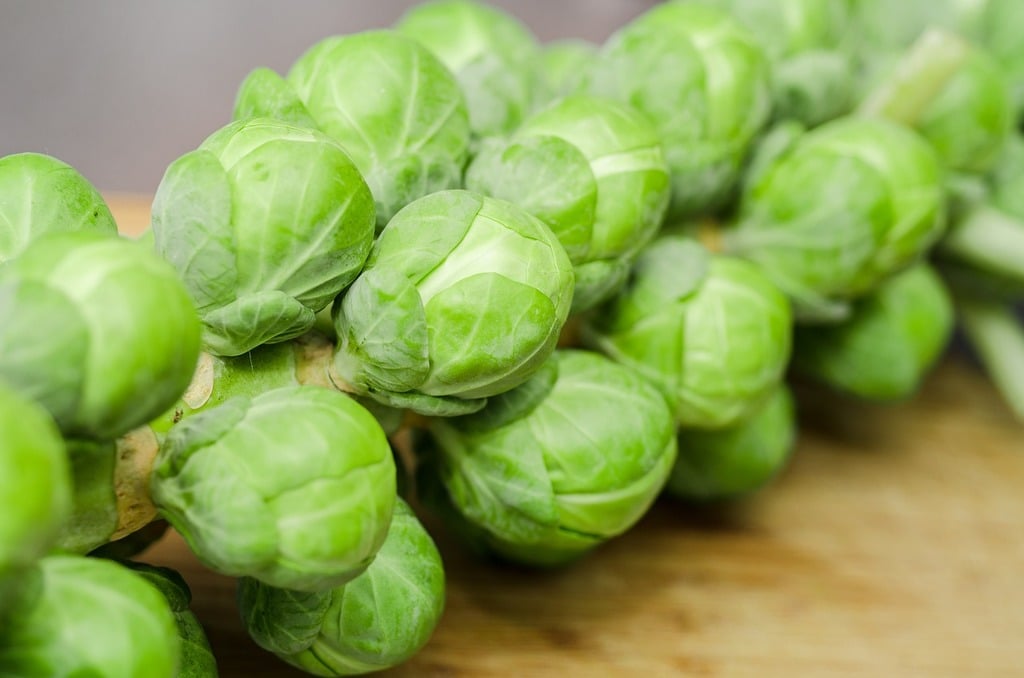 Plant Breeding – Making Today’s Brussels Sprouts