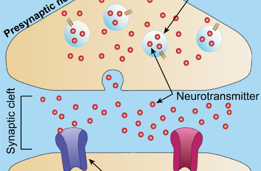 Neurotransmitter