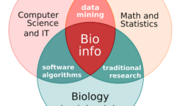 Bioinformatics