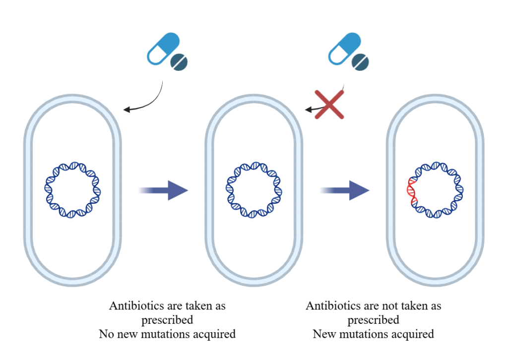 Don’t be Resistant to Medicine: Antibiotic Resistance