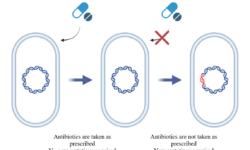 Don’t be Resistant to Medicine: Antibiotic Resistance