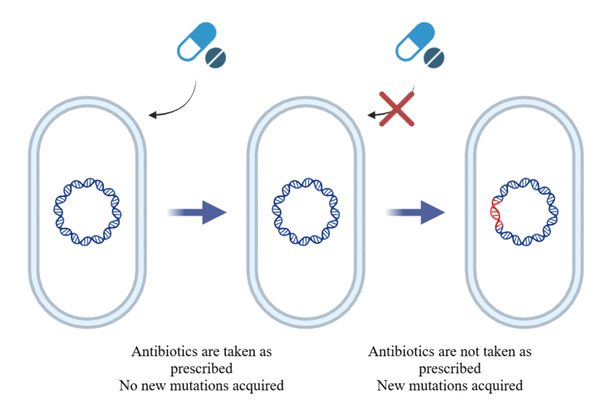 Don’t be Resistant to Medicine: Antibiotic Resistance