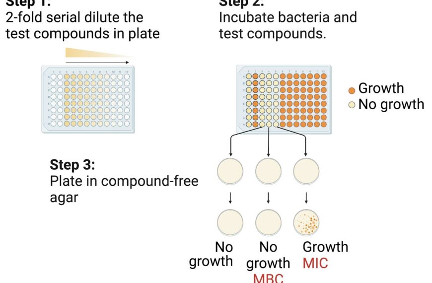 Antimicrobial Susceptibility Testing (Microdilution Technique)