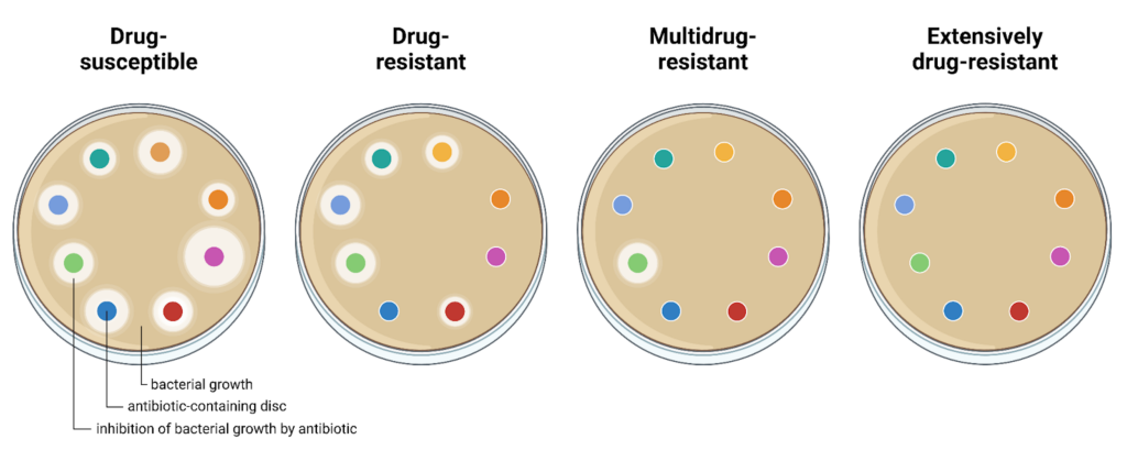 Antibiotic Resistance