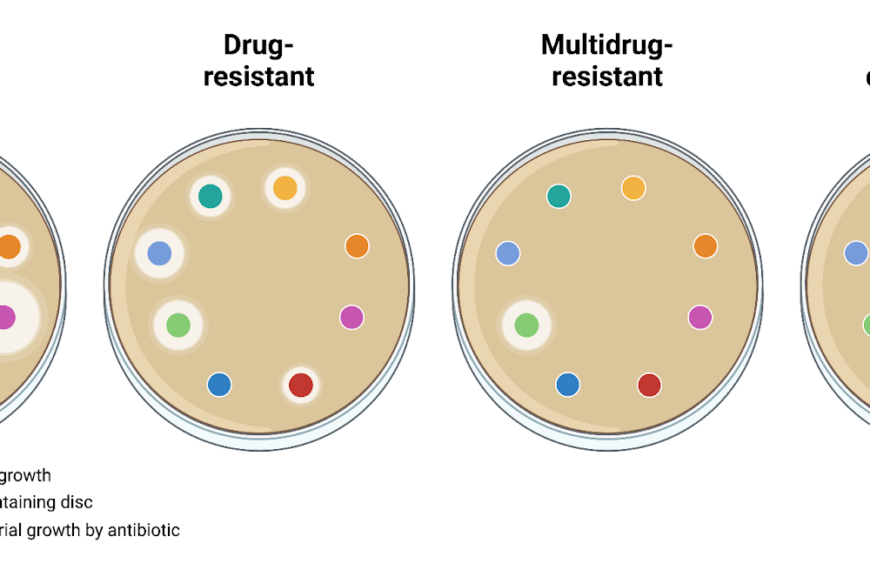 Antibiotic Resistance