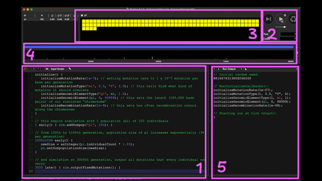 Evolutionary Simulation