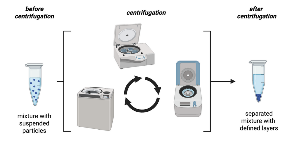 Centrifugation (Spinning it down!)