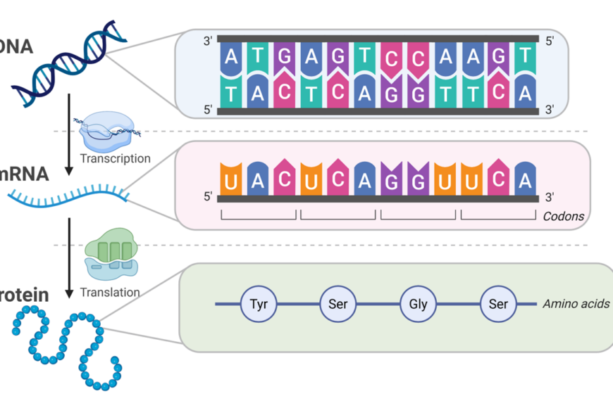 The Central Dogma of Biology