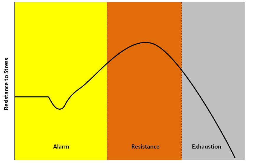The History of Stress Research
