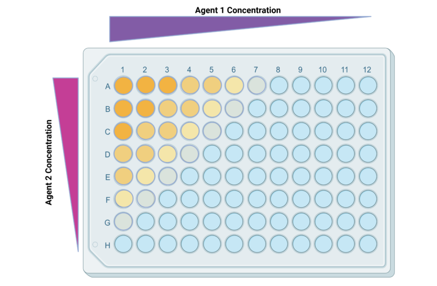 The Checkerboard Assay