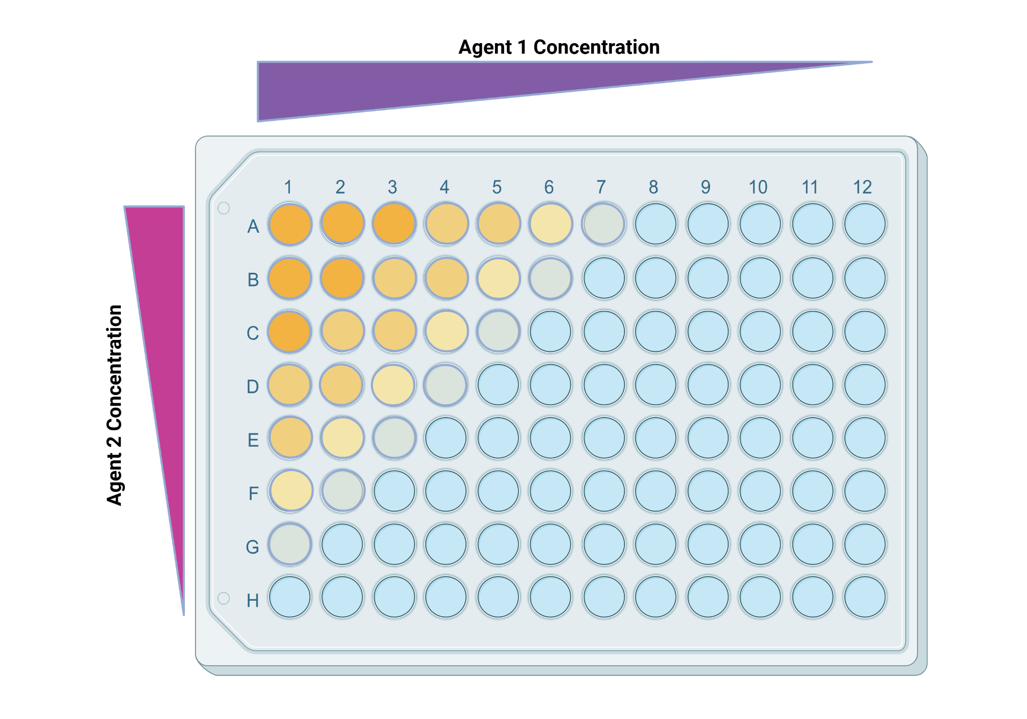 Checkerboard Testing The Checkerboard Assay – NC DNA Day Blog