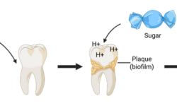 A Mouthful of Chemistry