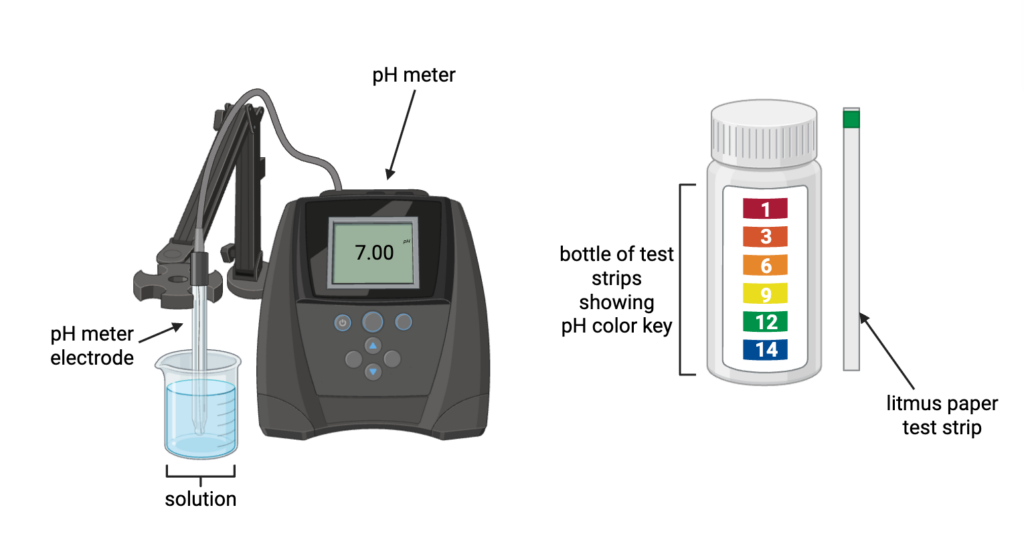 Measuring pH: Covering all your bases (and acids)!