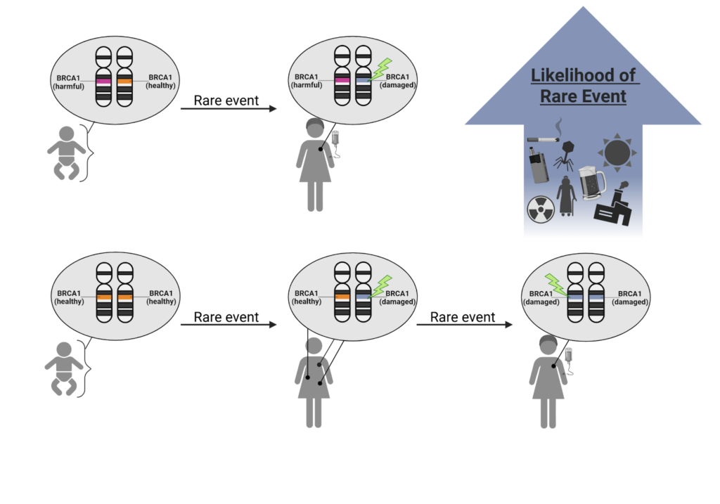Can I inherit cancer?
