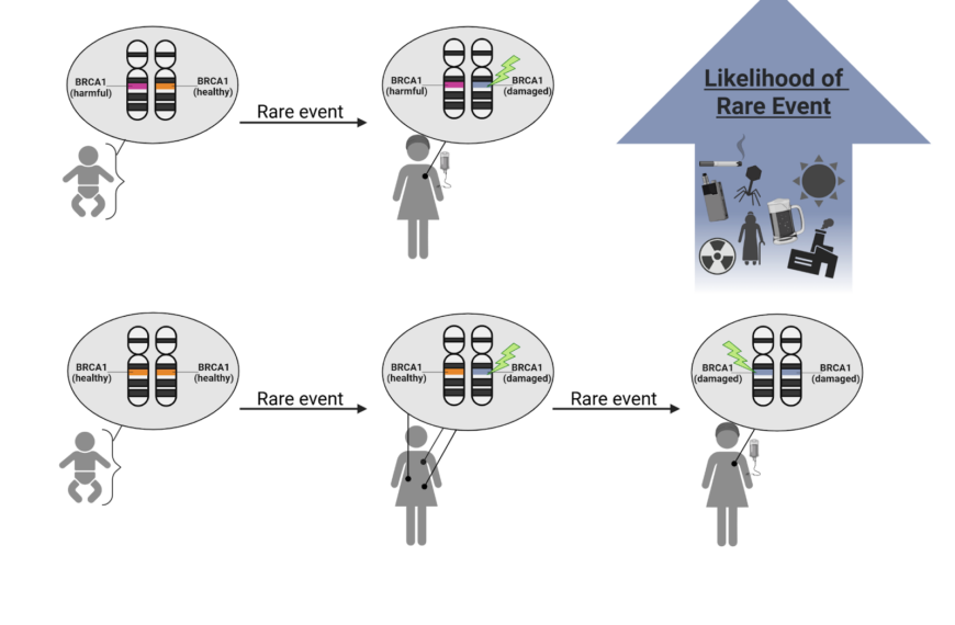 Can I inherit cancer?