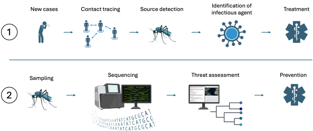 “Flying syringes”: mosquitoes, metagenomics, and more