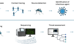 “Flying syringes”: mosquitoes, metagenomics, and more